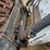 bobcat-873-image-10