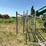 14/16-steel-livestock-gates-image-8
