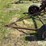 international-side-delivery-rake-image-10
