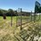 14/16-steel-livestock-gates-image-7
