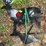 #20237-•-deer-shaped-target-image-1