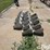 12”-stainless-steel-hog-feeders-image-8