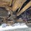2001-ford-f550-image-42