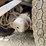 1997-ford-lt9513-image-46