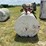 500-gal-steel-fuel-tank-w/110-volt-pump-image-2