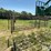 14/16-steel-livestock-gates-image-6