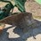 john-deere-three-point-two-bottom-plow-image-9