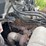 1999-freightliner-fl80-image-29