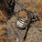 john-deere-2240-image-23