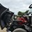 2015-international-lonestar-image-97