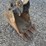 2022-bobcat-e42-image-8