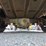 2001-ford-f550-image-39