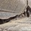 hyundai-hx260l-image-13