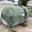 pleasure-products-1500-gal-fiberglass-tank-image-5