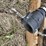 briggs-/-pacer-2”-water-pump-image-13