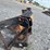 #41935-•-pto-ditcher-inv#-41935-image-9