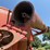 brandt-500-image-21