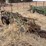 john-deere-pull-type-four-bottom-plow-image-5