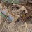 john-deere-pull-type-four-bottom-plow-image-22