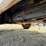 2006-chevrolet-3500hd-image-58