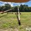 westfield-w80-51-220-volt-grain-auger-image-2