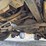 2001-ford-f550-image-43