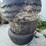 spare-brent-wagon-tires-image-12