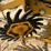 vermeer-5400-image-13