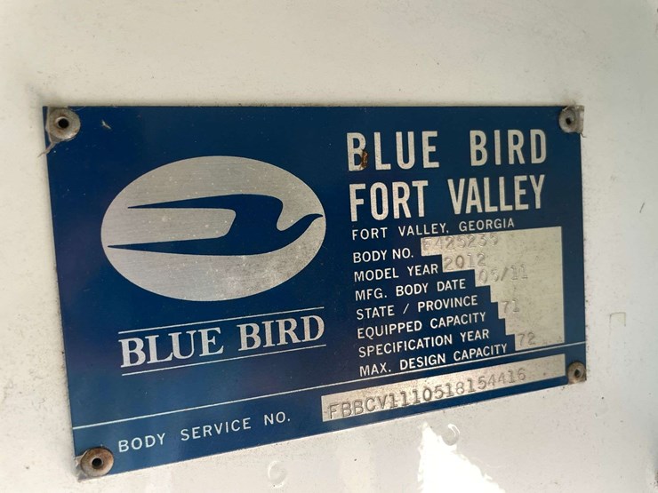 bluebird-vision-image-25
