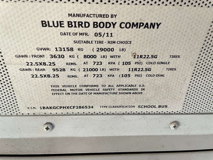 bluebird-vision-image-28