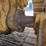 2018-caterpillar-d6t-lgp-image-31
