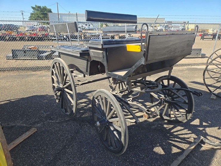black-horse-drawn-carriage-image-6