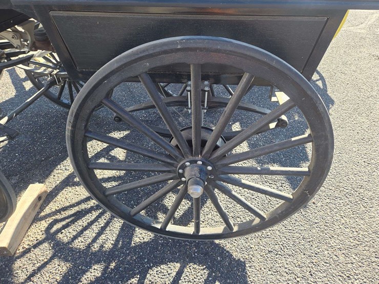 black-horse-drawn-carriage-image-9