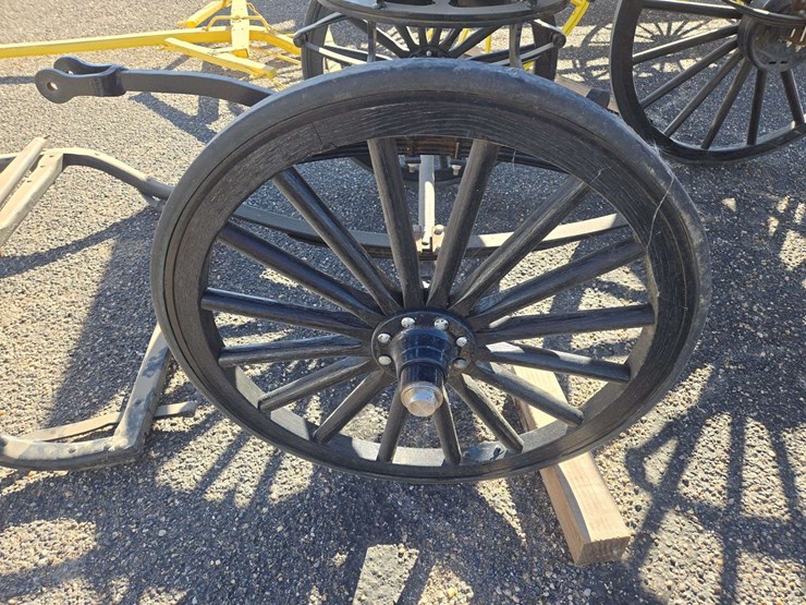 black-horse-drawn-carriage-image-10