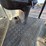 veit-sd-116ftf-vibratory-packer-image-26
