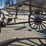 green-horse-drawn-carriage-image-26