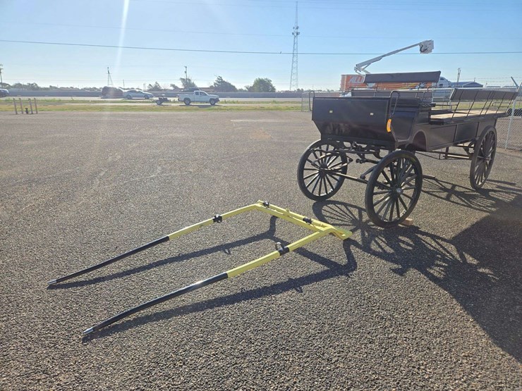 green-horse-drawn-carriage-image-1