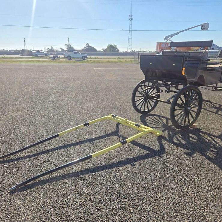 Green Horse Drawn Carriage