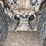 2006-sterling-lt9500-image-6
