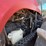 2005-case-ih-325-image-9