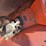 lull-international-644b-42-telehandler-image-20