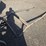 black-horse-drawn-carriage-image-4