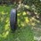 roadmaster-285/75r24.5-truck-tire-image-8