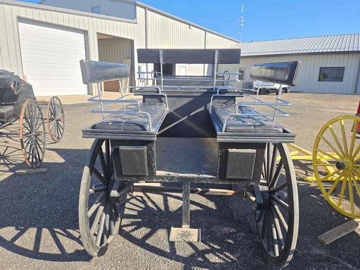 black-horse-drawn-carriage-image-14