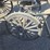 black-horse-drawn-carriage-image-12