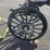 green-horse-drawn-carriage-image-10