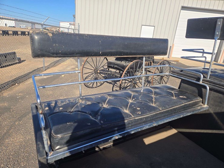 black-horse-drawn-carriage-image-15