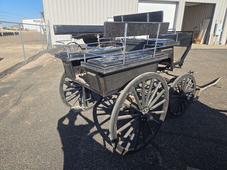 black-horse-drawn-carriage-image-7