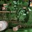2005-john-deere-990-image-29
