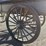 green-horse-drawn-carriage-image-9